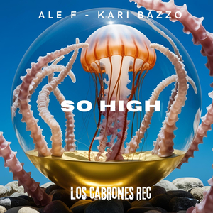 在线观看免费视频一区
